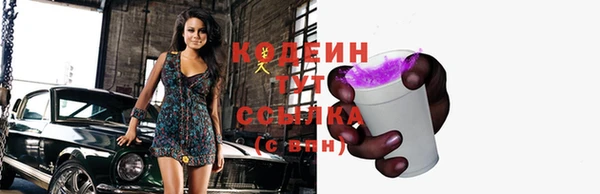 молекула духа Саяногорск