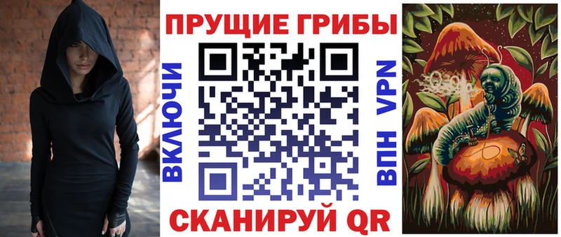Галлюциногенные грибы мухоморы  кракен зеркало  Богородицк  магазин продажи  